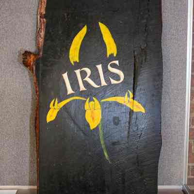 Randon Eddy, trade sign (Iris Club), ca. 1980