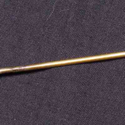 Lapel pin, probably America, 1890-1910