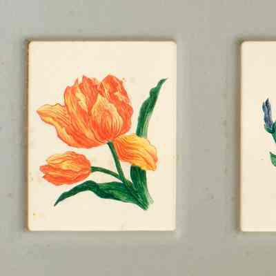 Annie Pierce Drown, Watercolor (floral images), ca. 1830