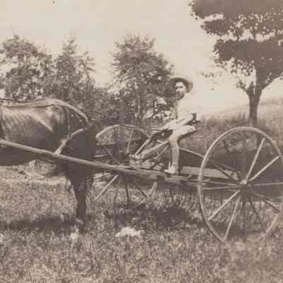 Boy riding hay rake pulled by a horse