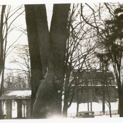 Upper Red Hook - 1933