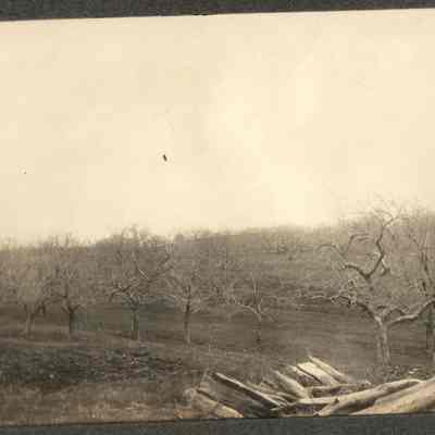 View of Mead farm orchards