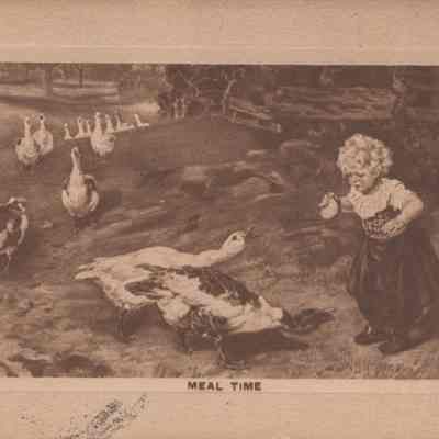 PostCard