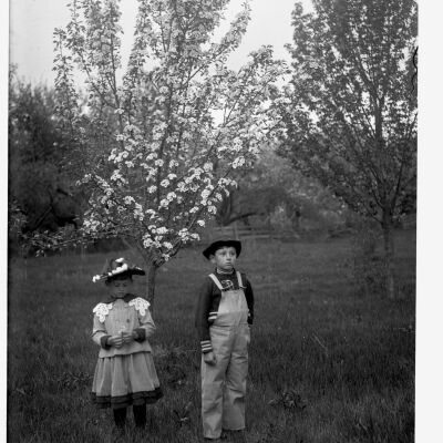 Marion & Roscoe Teator standing by flowering tree
