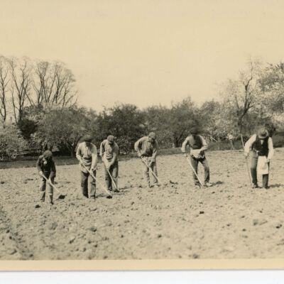 Planting Corn South Meadow May 1916