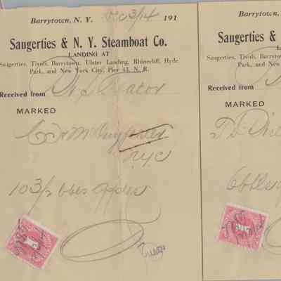Invoice to W. S. Teator from the Saugerties & N. Y. Steamboat Co.