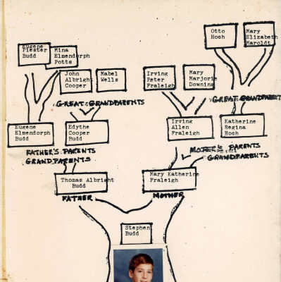 Budd Family Tree