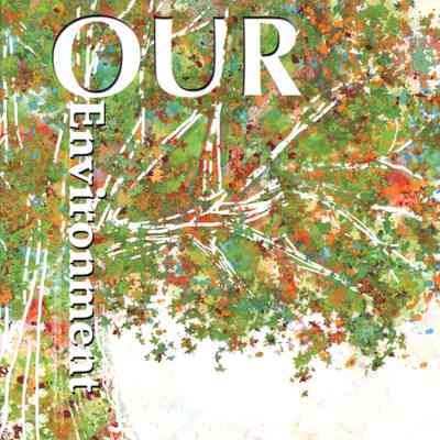 2013 Dimensions - Linden Ave. Middle School Yearbook