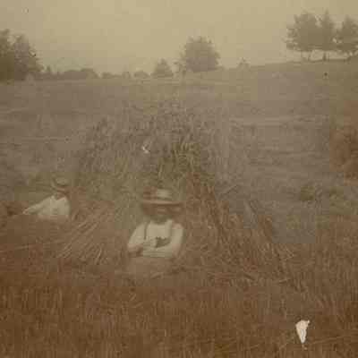 Haystack 1901