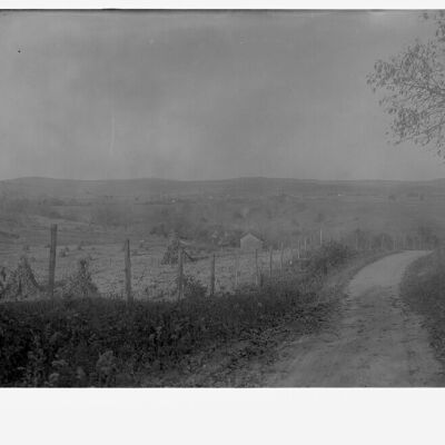 Field with shocks of corn or rye