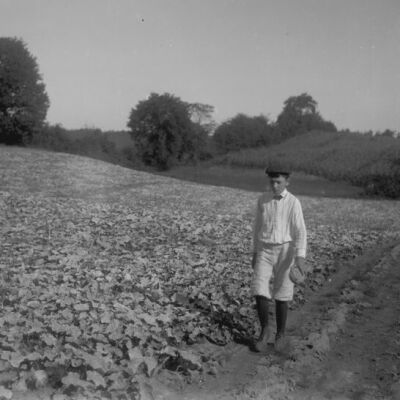 Man walking in melon patch