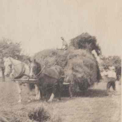 Redmond's Farm