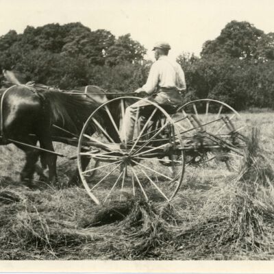 Turning hay 1920