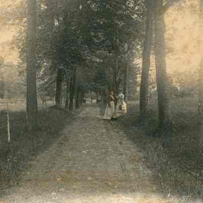 Rose Hill Farm Driveway