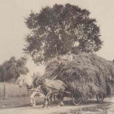 David Minkler with hay wagon
