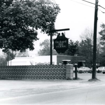 Orchard Hill Farms, 1981