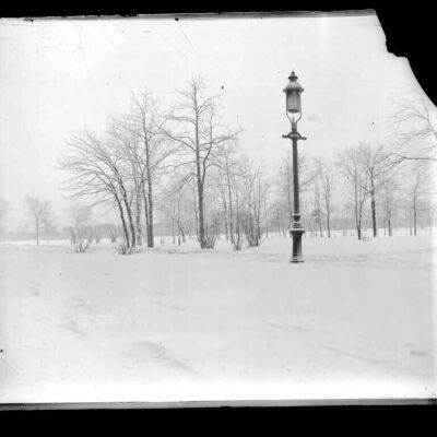 Lamp post and woods (Location unknown)