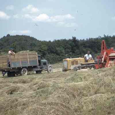 Pick-up-Baler-Hedge