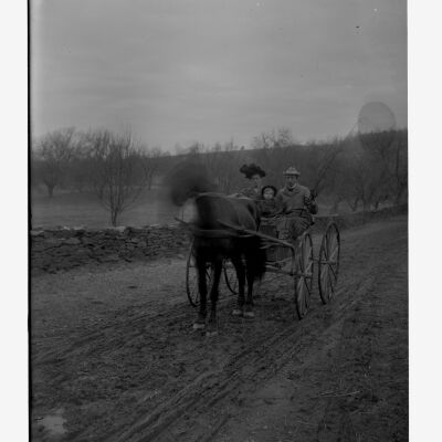 Man, woman and child in horse-drawn buggy