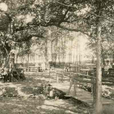Picnic Grounds, Ward Manor