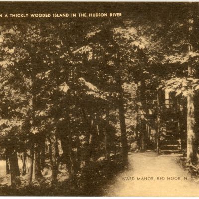 Ward Camp - On A Thickly Wooded Island