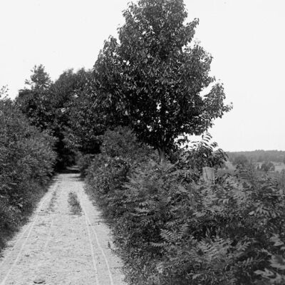 Unidentified Road