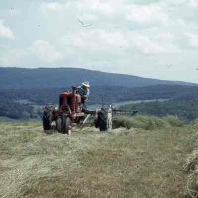 Slide Delivery Rake-Hedge