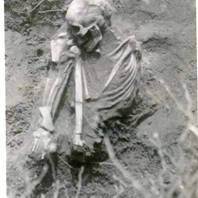Cruger's Island, Skeleton Remains