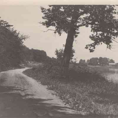Shore of Spring Lake