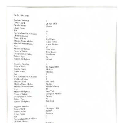 pdf - click to see sample pages