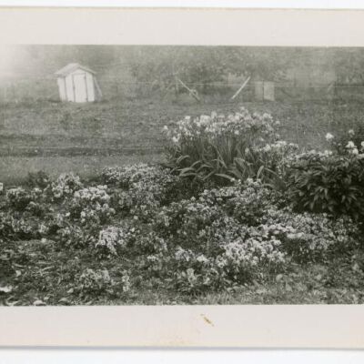 Ward Manor flower garden