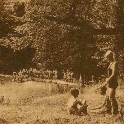 The Swimming Pool, Ward Manor