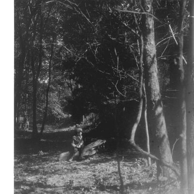 Roscoe Teator in Woods