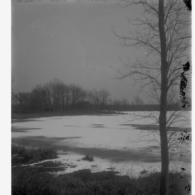 December at Shook Pond