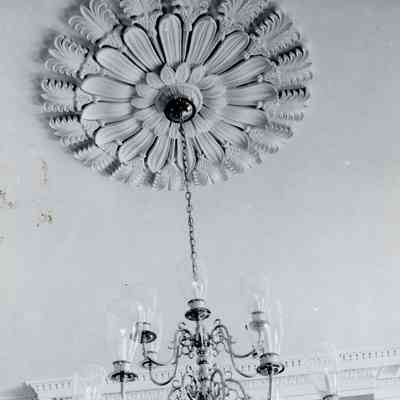 Maizeland - Close up of rosette - 1966