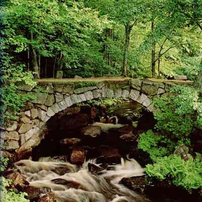 1991 Dimensions - Linden Ave. Yearbook