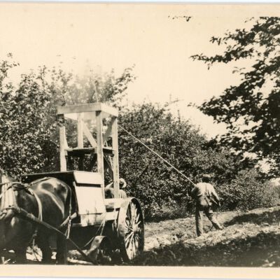 Spraying apples, 1916