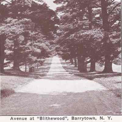 Avenue at "Blithewood", Barrytown, N.Y.
