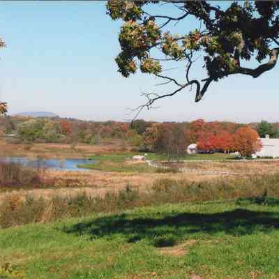 View of Mead Orchards farm complex, 2006