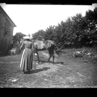 Janie and Horse