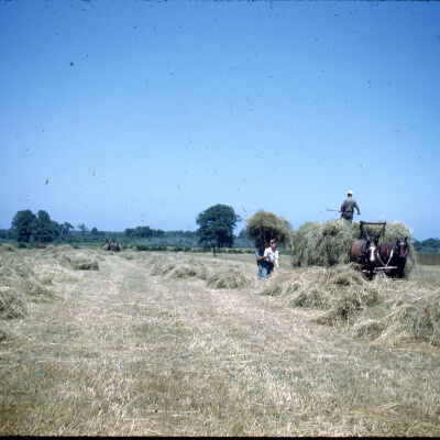 Bill Walters Making Hay