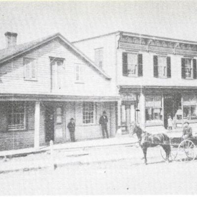 Man in horse-drawn buggy