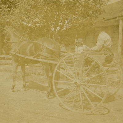 Two men with horse and buggy