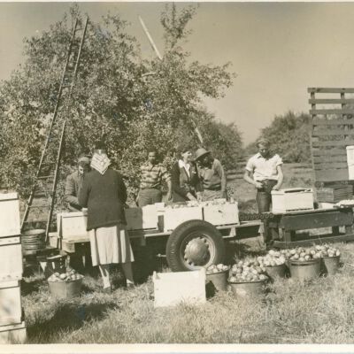 Apple workers