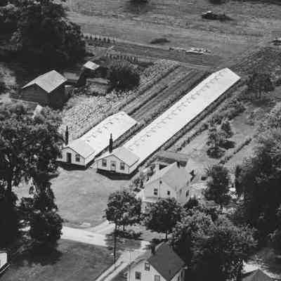 Greenhouses