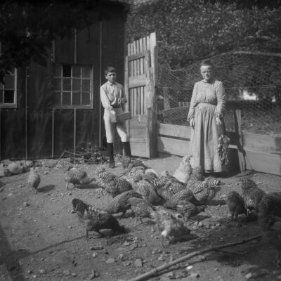 Helen Knickerbocker & Roscoe Teator with chickens