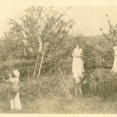 Apple Picking