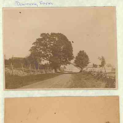 Downing farm