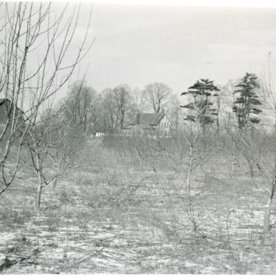 Losee farm, pruned orchard, 1946