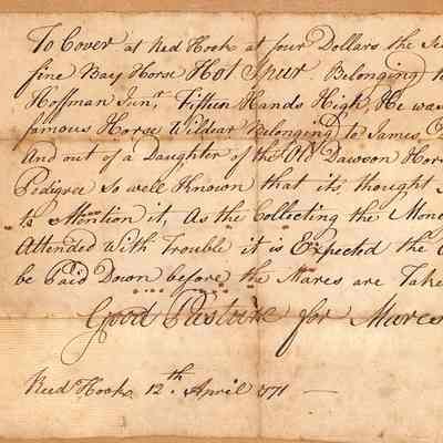 Horse Breeding Document